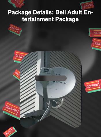 Bell expressvu packages